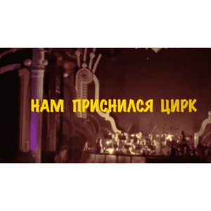 Нам приснился Цирк